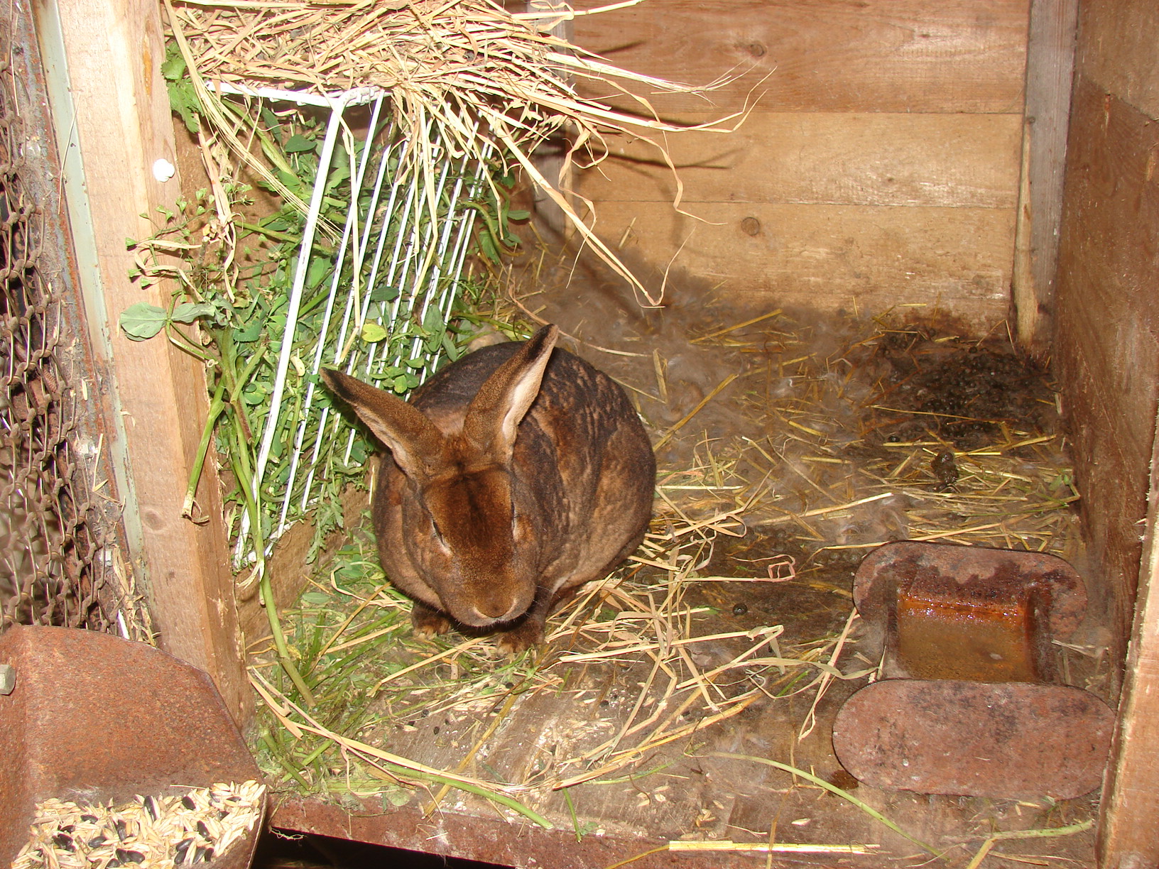 DSC04349.JPG