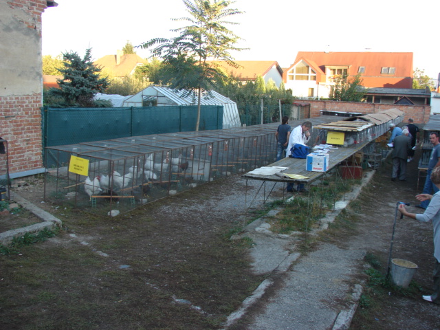 DSC05870.JPG