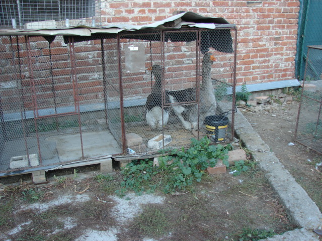 DSC05871.JPG