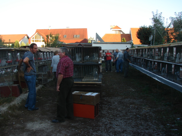 DSC05874.JPG