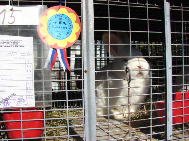 DSC05895.JPG