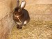 DSC04358.JPG