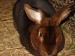 DSC04359.JPG
